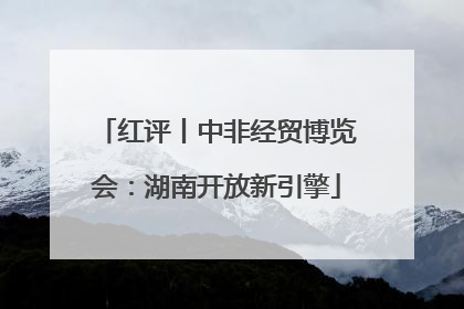 红评丨中非经贸博览会：湖南开放新引擎